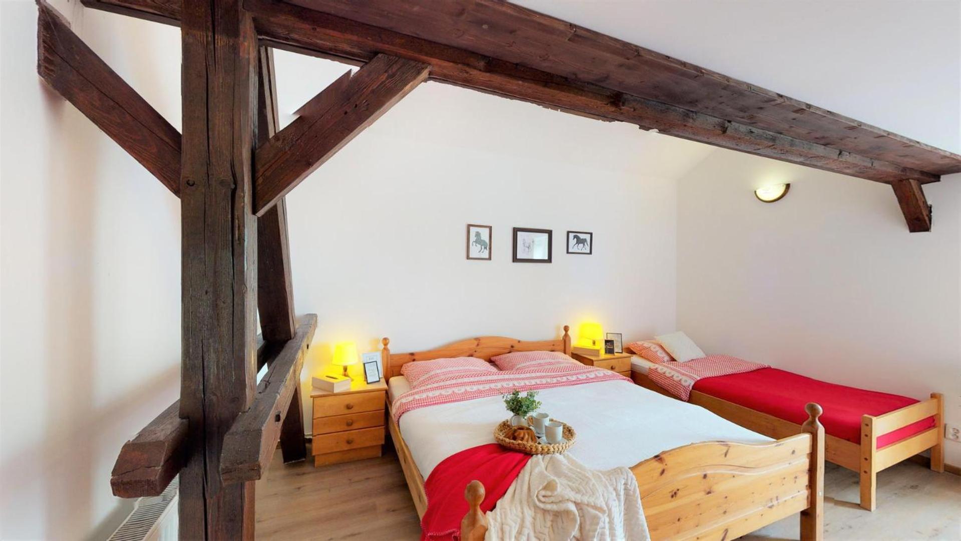 Pension U Sebastiana Hodousice Kamer foto
