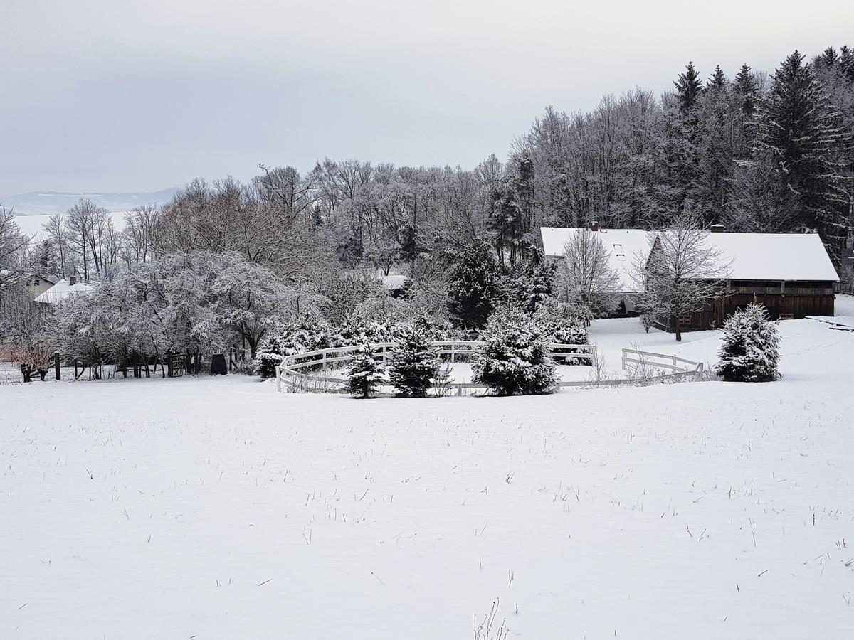 Pension U Sebastiana Hodousice Buitenkant foto